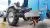 Обзор модели Русич Т18 Чувашпиллер трактор rusich t18 chuvashpiller